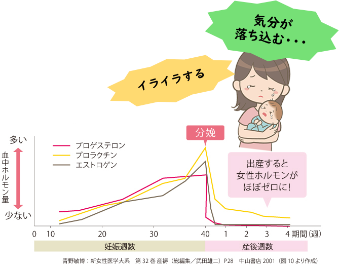 妊娠・出産・産後のホルモンの変化を示す折線グラフ。「出産すると女性ホルモンがほぼゼロに！」